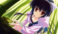 BUY NEW naru nanao - 180906 Premium Anime Print Poster